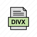 divx, document, file, format