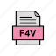 document, f4v, file, format 