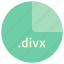 divx, file, format, multimedia, extension 