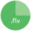 file, flv, format, multimedia, extension, flash 