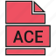 ace, extension, file, name 