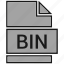 bin, misc file format 