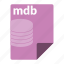 database, file, format, mdb 