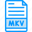 matroska, multimedia, container 