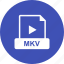 file, format, mkv, video 
