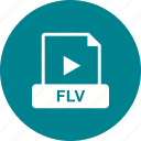 file, flv, format, video