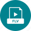 file, flv, format, video 