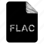 document, file, flac 