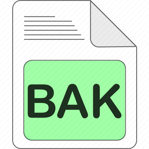 Bak, data, document, extension, file, file type, format icon - Download on Iconfinder