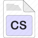 cs, data, document, extension, file, file type, format