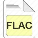 data, document, extension, file, file type, flac, format