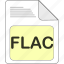 data, document, extension, file, file type, flac, format 