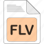 data, document, extension, file, file type, flv, format 