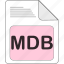 data, document, extension, file, file type, format, mdb 