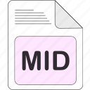 data, document, extension, file, file type, format, mid