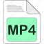 data, document, extension, file, file type, format, mp4 