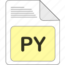 data, document, extension, file, file type, format, py
