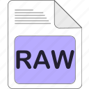 data, document, extension, file, file type, format, raw