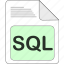 data, document, extension, file, file type, format, sql
