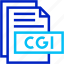 cgi, fromat, type, archive, file, and, folder 