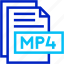 mp4, fromat, type, archive, file, and, folder 