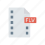 files, flv, record, video 