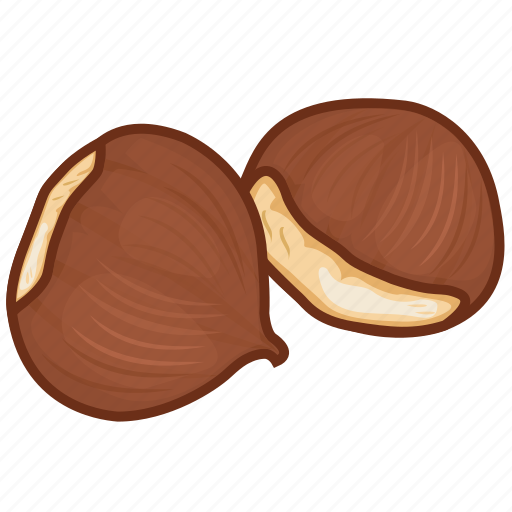 Chestnut, dry fruits, dry fruits icon, food, nut icon - Download on Iconfinder