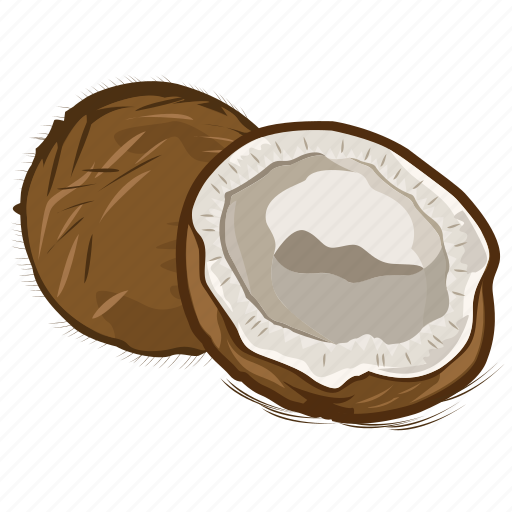 Coconut, dry fruits, dry fruits icon, food, fruit icon - Download on Iconfinder