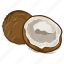 coconut, dry fruits, dry fruits icon, food, fruit 