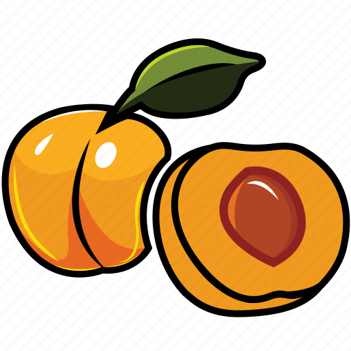 Apricot, apricot juice, food, fruits, fruits icon, healthy food icon - Download on Iconfinder