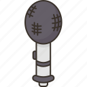 sponge, microphone, cap, studio, voice