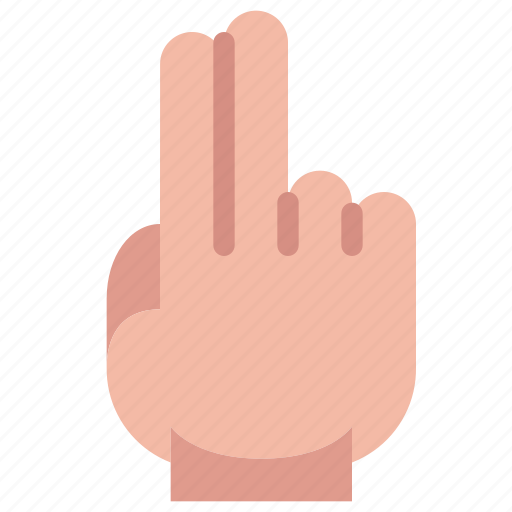Finger, count, hand, gesture, back, two icon - Download on Iconfinder