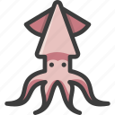 calamari, cephalopod, fish, squid
