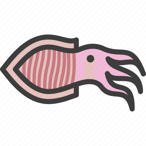 Broadclub, cephalopod, cuttlefish, sepia icon - Download on Iconfinder