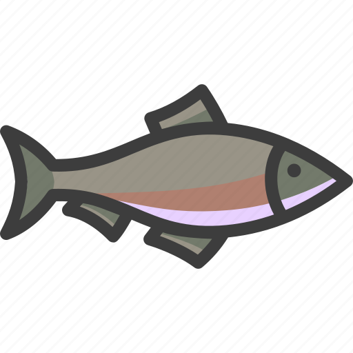 Coho, salmon, sockeye, trout icon - Download on Iconfinder
