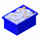 box, business, cartoon, computer, fish, full, isometric
