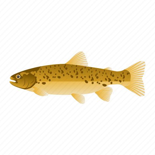 Fish, seafood, oncorhynchus mykiss, rainbow trout, trout fish icon - Download on Iconfinder