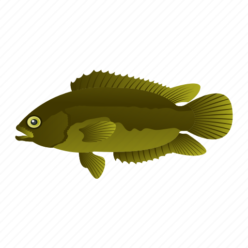 Anabas testudineus, anabas, fish, marina animal, aquatic animal icon - Download on Iconfinder