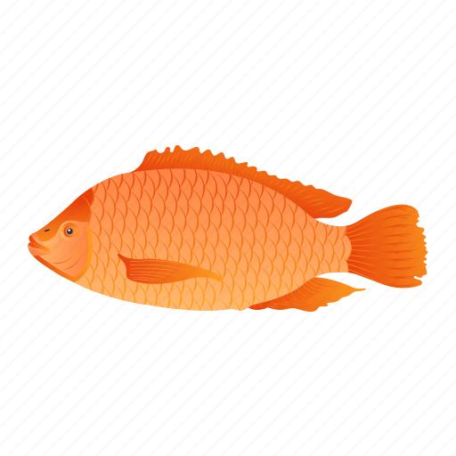 Fish, seafood, freshwater fish, tilapia fish, farm fish icon - Download on Iconfinder