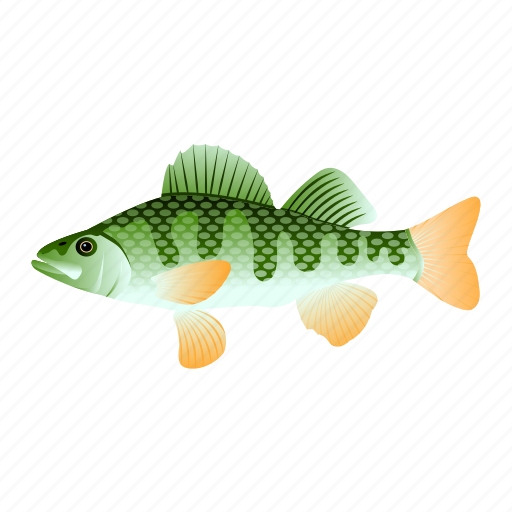 Fish, seafood, percha fish, freshwater gamefish, perca fish icon - Download on Iconfinder