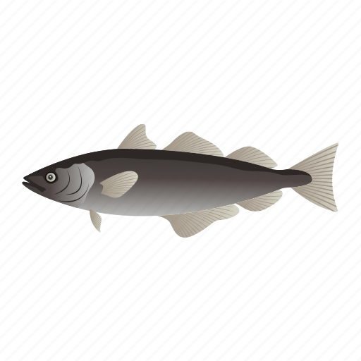 Fish, aquatic animal, marine animal, pollock fish, pollack icon - Download on Iconfinder