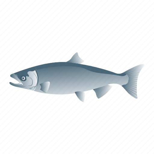 Fish, seafood, salmon fish, ray-finned fish, food icon - Download on Iconfinder