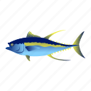 fish, aquatic animal, marine animal, seafood, yellowfin tuna