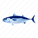fish, aquatic animal, marine animal, seafood, skipjack tuna