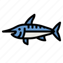 swordfish, fish, wildlife, aquatic, animal