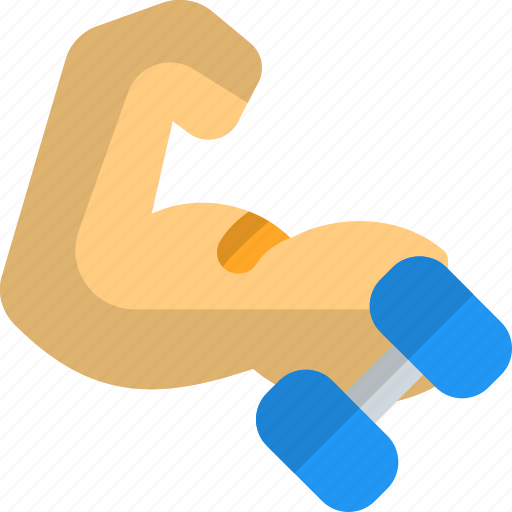 Muscle, dumbbell, workout, fitness icon - Download on Iconfinder