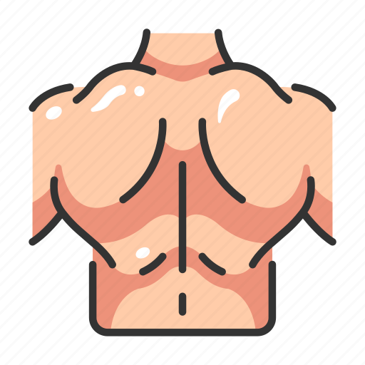 Anatomy, back, body, fitness, male, muscle, naked icon - Download on  Iconfinder