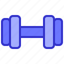 dumbbell, fitness, gym, barbell, weightlifting, bodybuilding, exercise
