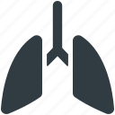 anatomy, breathe, human lungs, lungs, pulmonology