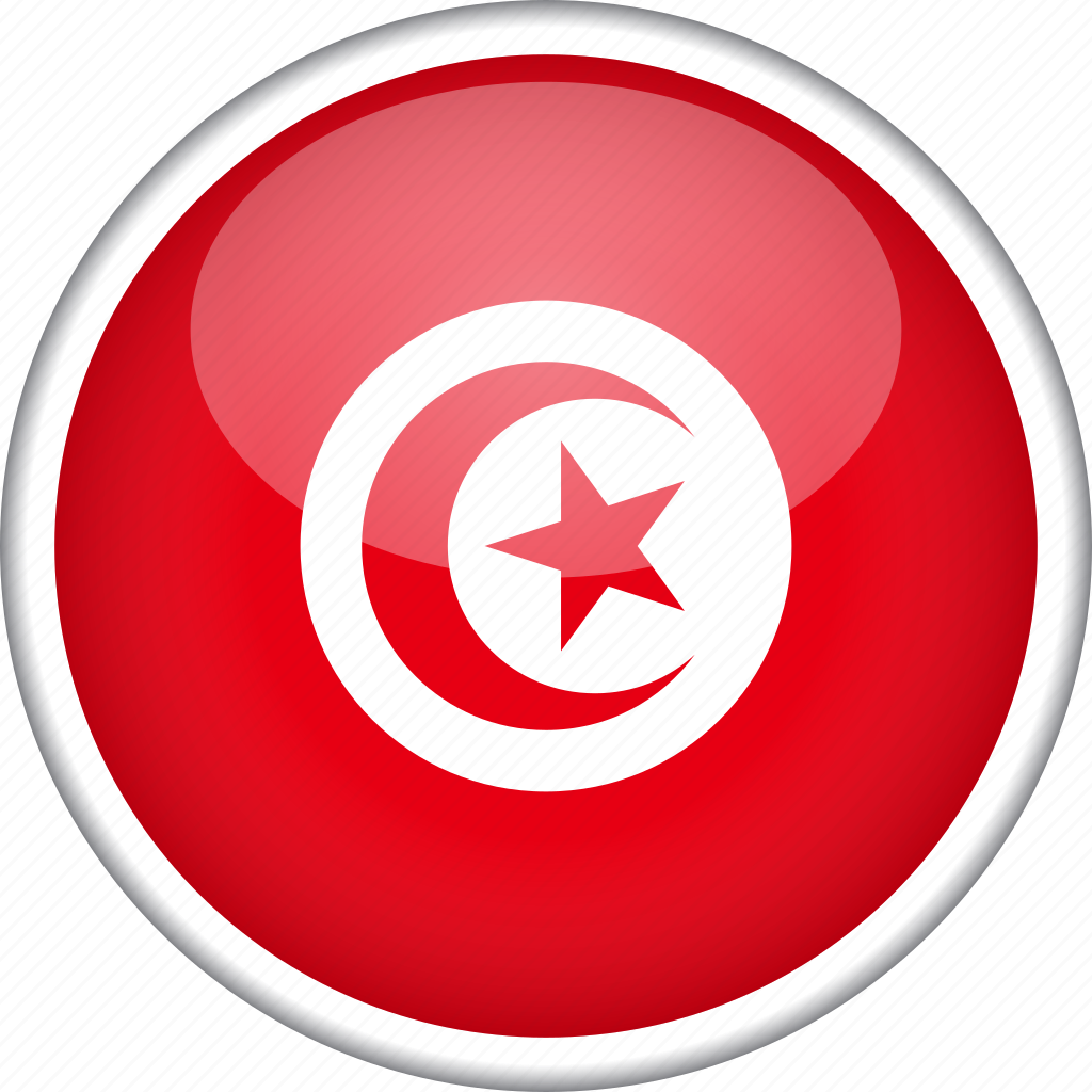 circle-country-flag-national-tunisia-icon-download-on-iconfinder